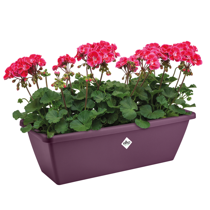 barcelona trough 50cm maple purple